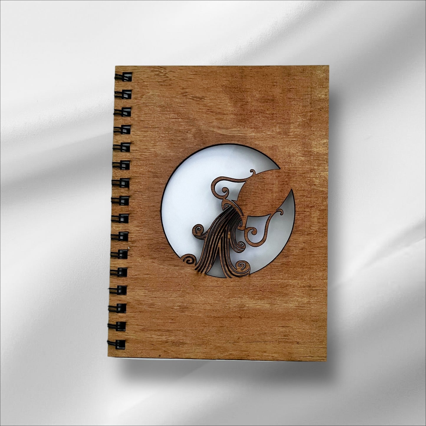 Aquarius Cut Out Cover Diary