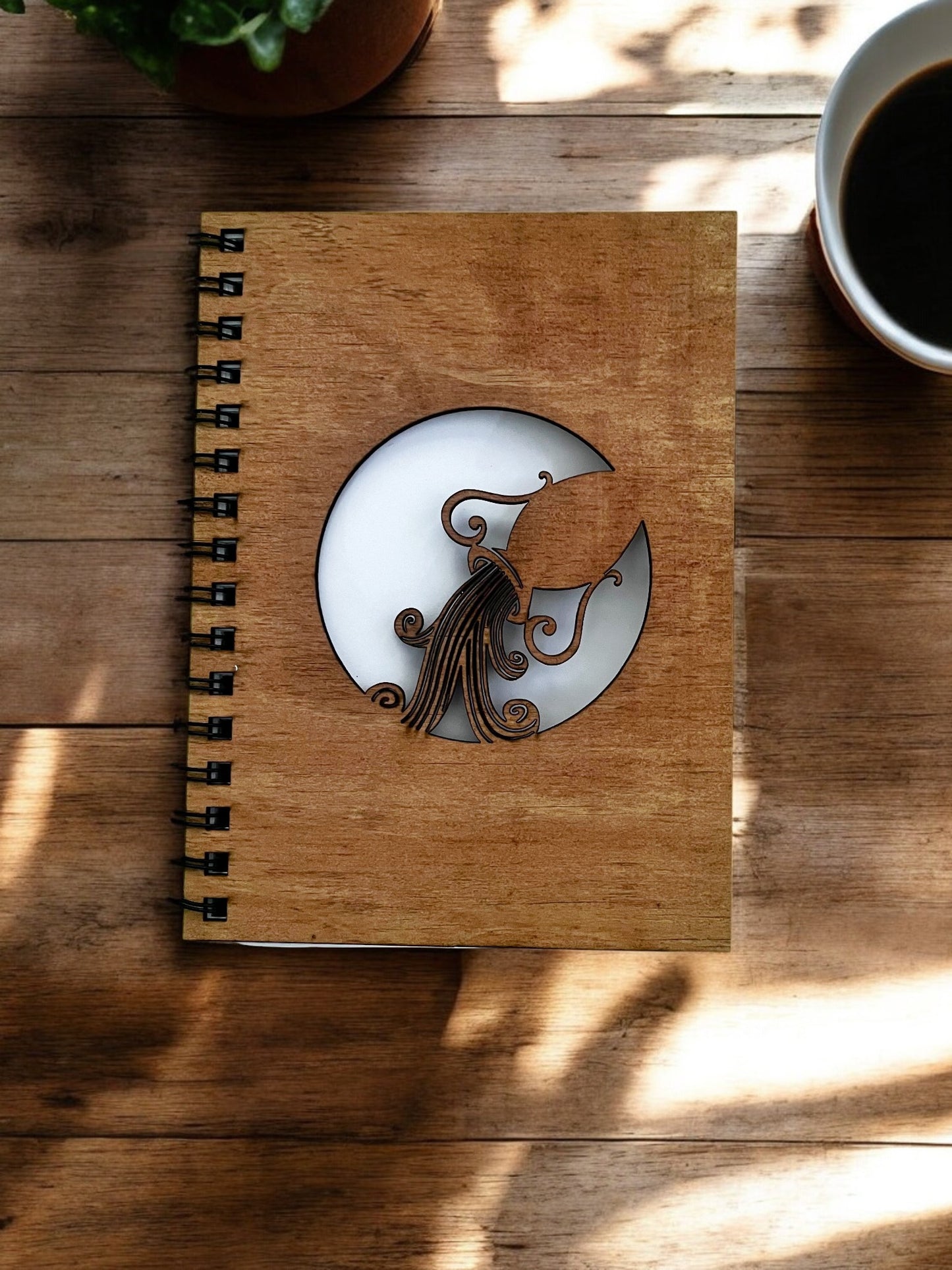 Aquarius Cut Out Cover Diary